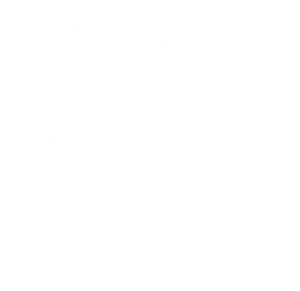 women-owned-w